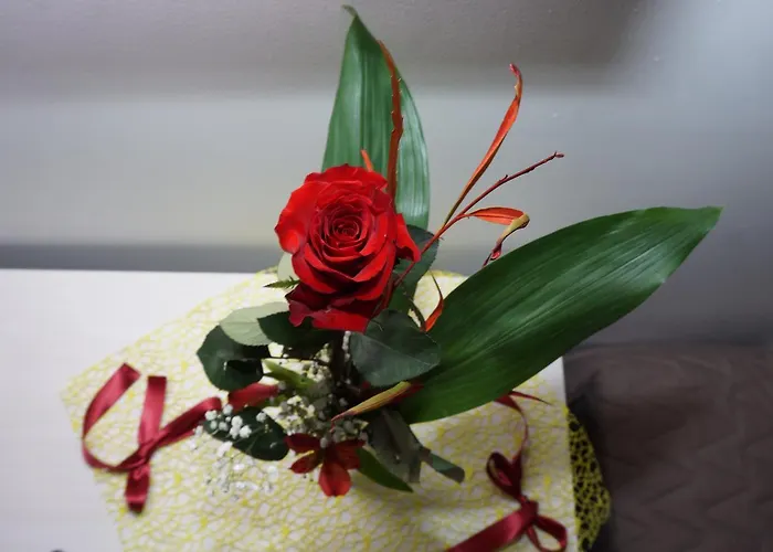 Alojamento de Acomodação e Pequeno-almoço San Pietro